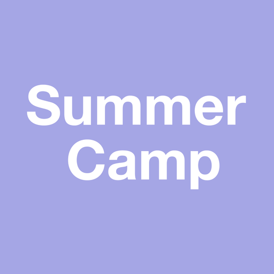 Summer Camp Placement Program